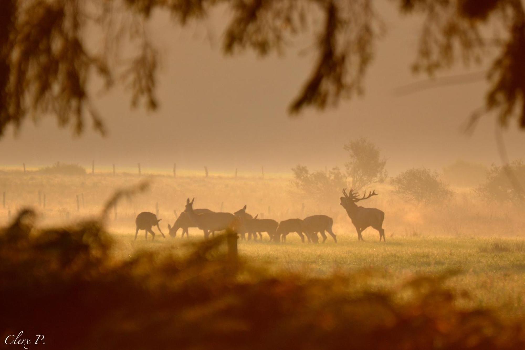 Les 12 Bois Du Cerf Villa Tailles Buitenkant foto
